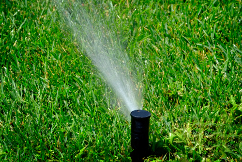 Seasonal Maintenance in Deer Park Texas