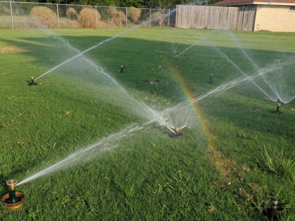 Head-to-Head Spacing on a Deer Park Lawn