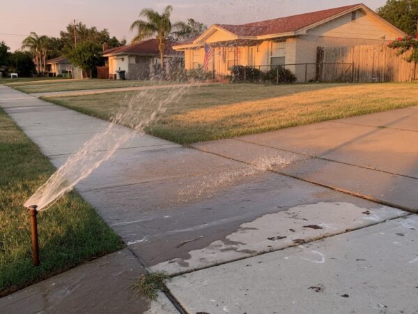 Sprinklers Soaking the Sidewalk