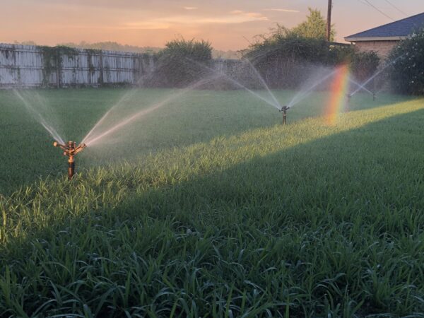 Summer Watering for St. Augustine in Deer Park
